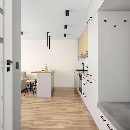 Przytulny Jasny Z Balkonem By Renters *
